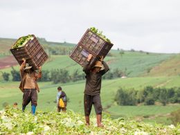 A Blockchain Remittance Pilot Proves Successful for 100 Migrant Workers in Thailand