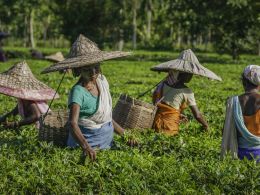Indian Chief Minister of Assam Launches Cashless Digital Banking Campaign