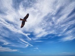 Bitcoin Keeps Soaring, Breaks Beyond $900