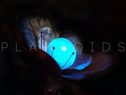 Plantoids: The First Blockchain-Based Artificial Life Forms