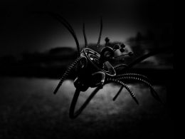 Plantoid – A Bitcoin-Eating Robot, Merges The Natural World With Blockchain Tech