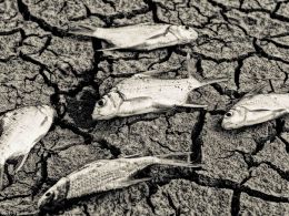 2016: The Year of Blockchain Hubris