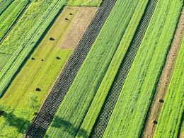 Sweden's Blockchain Land Registry to Begin Testing in March