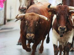 Report: Bitcoin ETF Could Amass $300 Million in Assets (If Approved)