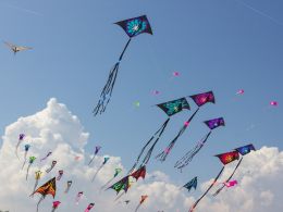 Altcoins Reap Bitcoin’s Recent Gains