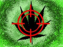 Thriving US Cannabis Industry Faces Bitcoin Ban