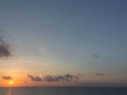 Exclusive (and Controversial) Satoshi Roundtable Commences in Cancun