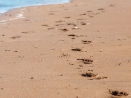 Bitcurex: Owner ‘Disappears’ After Failing to Return 2,300 BTC