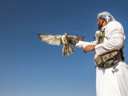 Abu Dhabi Bank Picks Ripple for Its Blockchain Remittances