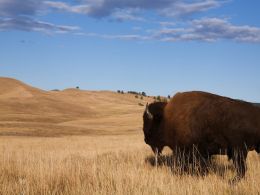 North Dakota Legislators Advance Plan for Bitcoin Regulation
