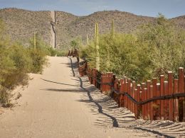 Will Trump’s New Policies Boost U.S.–Mexico Bitcoin Remittances?