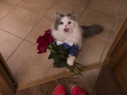 8 Valentine’s Day Gift Ideas for Everyone Who Loves Bitcoin