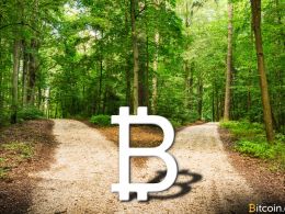 This Happens to Your Coins During a Bitcoin Hard Fork and Possible Blockchain Split