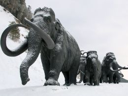 With Ethereum 'Ice Age' Incoming, Momentum Builds for Miner Pay Cut