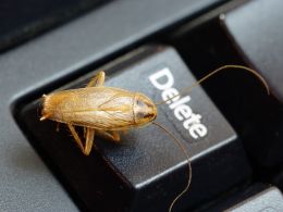 Zcash Releases Software Fix After Denial-of-Service Bug Discovery