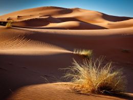 Middle East and North Africa Slow to Adopt FinTech, Say Experts