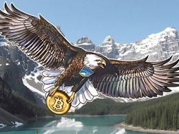 Homeland Security Bitcoin Task Force Revealed by Department of Justice Indictment Form
