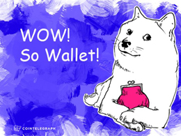 NEW DOGECHAIN WALLET IN BETA, LAUNCHING SOON
