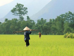 Vietnam forbids Bitcoin transactions