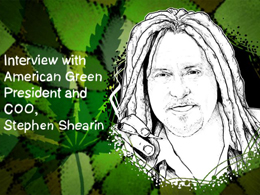 American Green President: 'We Need a Healthy, Stable, Bustling Bitcoin Economy'