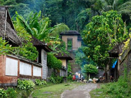 Bitcoin Stores, Boulevards, and Now a Bitcoin Paradise in Bali