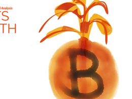 Bitcoin Price Technical Analysis for 3/3/2015 - Bitcoin Zenith