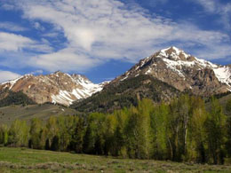 Idaho Dept. of Finance Releases Investor Advisory on Digital Currency