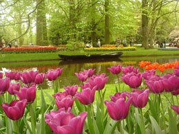 Netherlands: What is Bitcoin? We Don't Really Know