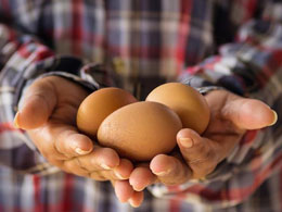Interview: Australian Chicken Farmer Encourages Bitcoin Payments