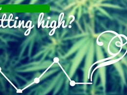 Potcoin Value Falls Drastically in USD Markets