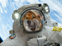 Dogecoin Founder, Enthusiasts Set For San Francisco Convention