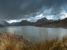 Argentinian Bitcoin Exchange Loses its Bank Accounts