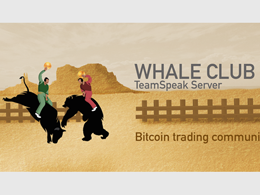 Whale Club: The Trading Room That Loves Bitcoin Price Declines