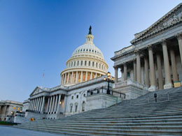 Bitcoin Foundation Plays Down Silk Road Connection at Senate Hearing