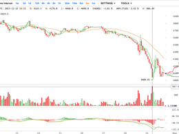 Why Bitcoin is falling, and will rise again