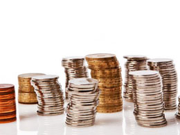 Alternative Cryptocurrencies Thrive in Bitcoin's Shadow