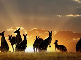 First Western Australian Bitcoin Exchange DWVx Partners with Westpac Bank
