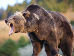 Bitcoin Price Bears Battling For A New Low