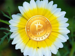 Bitcoin: April in Review