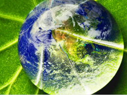 Bitcoin the Environmentalist