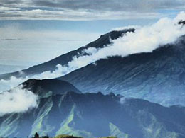 Bitcoin Gains Traction amid Steady Growth in Indonesia