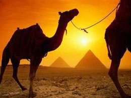 Bitcoin Nordic Brings Bitcoins to Middle East and North Africa