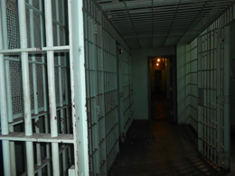 The Case Against Ross Ulbricht