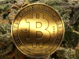Cannabis Executive Doesn’t Understand Bitcoin