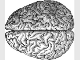 Building a brain the size of a planet: The CoinDesk Weekly Review
