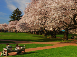 Coinme Brings Bitcoin to the University of Washington