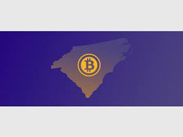My Cryptolina Experience