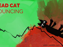 Bitcoin Price Bounce - Dead Cat?