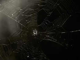 Silk Road 2.0 and Other Deep Web Sites May Have Been Located Through Government DDOS on Tor