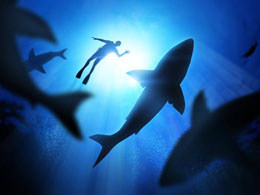 Bitcoin Price Dives Lower